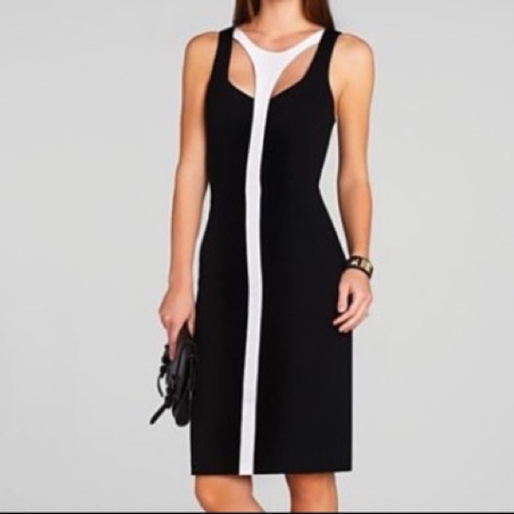 BCBGMAXAZRIA Delilah Sleeveless Blocked Sheath Dress